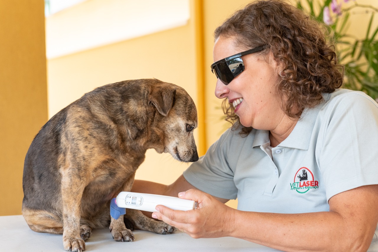 Fototerapia Veterinária