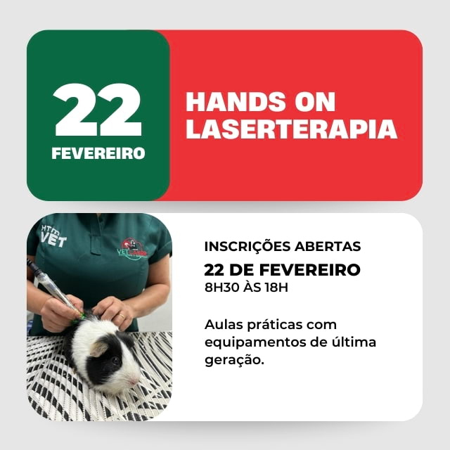 treinamento hands on em laserterapia veterinária