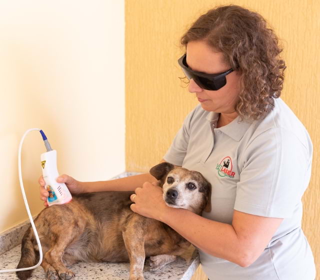tratamento com laser veterinário