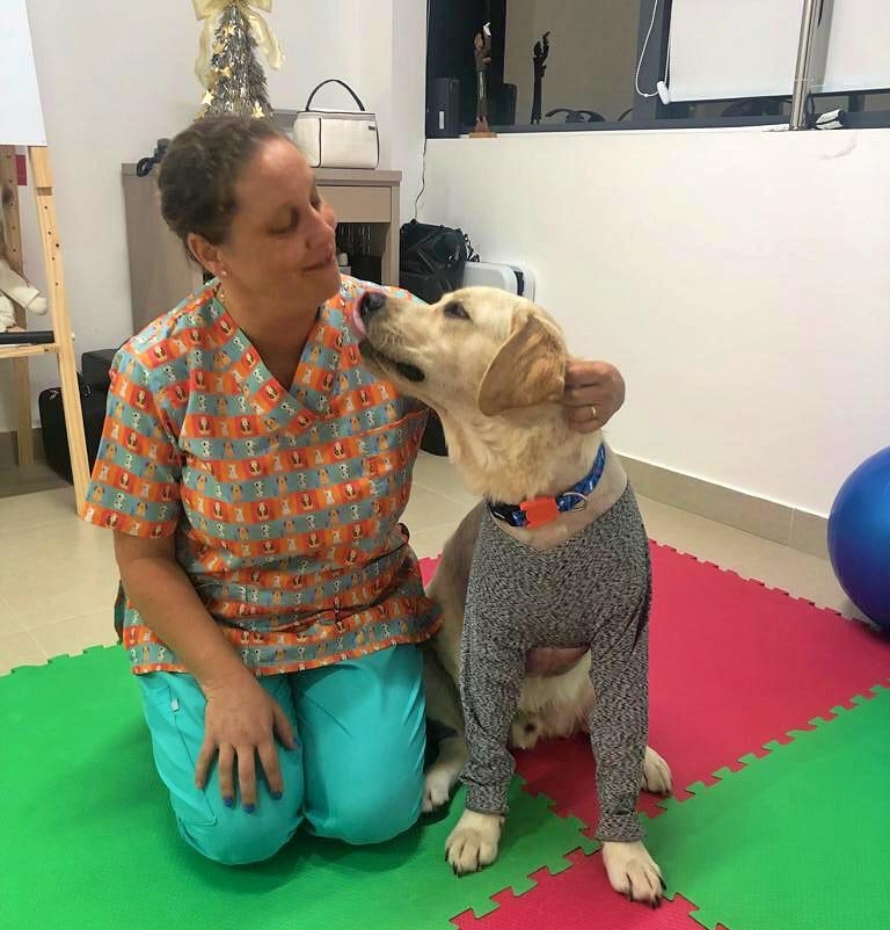 veterinária especialista em reabilitação animal